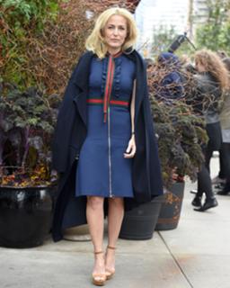 Gillian Anderson feet photo thumbnail
