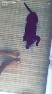 Vida Guerra feet photo thumbnail