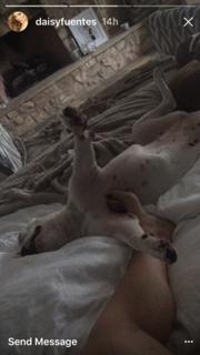Daisy Fuentes feet photo thumbnail
