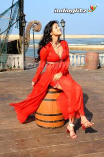Shriya Saran feet photo thumbnail