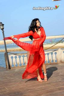 Shriya Saran feet photo thumbnail