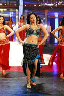 Shriya Saran feet photo thumbnail