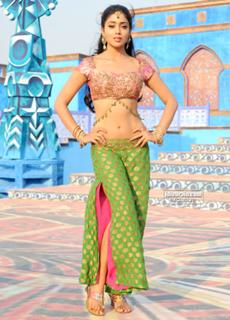 Shriya Saran feet photo thumbnail