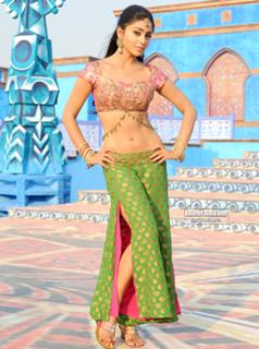 Shriya Saran feet photo thumbnail