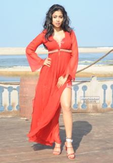 Shriya Saran feet photo thumbnail