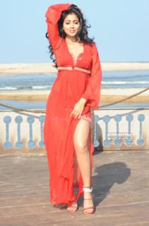 Shriya Saran feet photo thumbnail