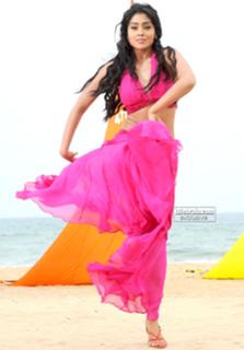 Shriya Saran feet photo thumbnail