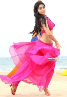 Shriya Saran feet photo thumbnail