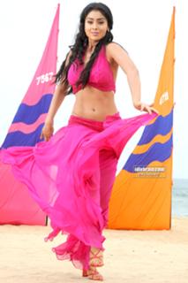 Shriya Saran feet photo thumbnail