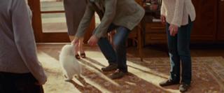Sandra Bullock feet photo thumbnail