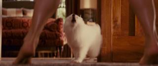 Sandra Bullock feet photo thumbnail