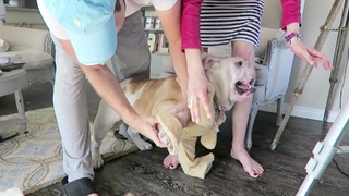 Brittani Taylor feet photo thumbnail