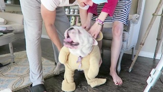 Brittani Taylor feet photo thumbnail