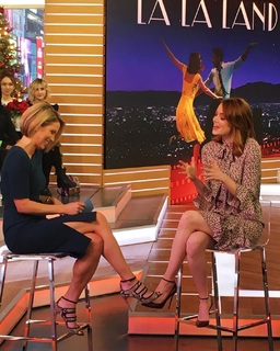 Amy Robach feet photo thumbnail