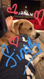 Kaley Cuoco feet photo thumbnail