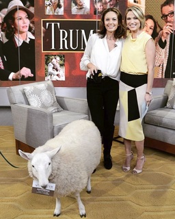 Amy Robach feet photo thumbnail