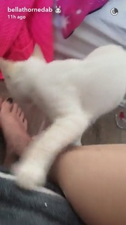 Bella Thorne feet photo thumbnail