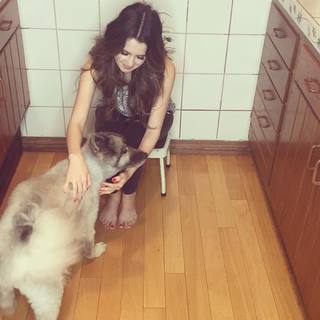 Laura Marano feet photo thumbnail