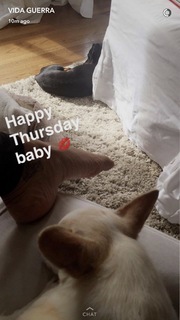 Vida Guerra feet photo thumbnail