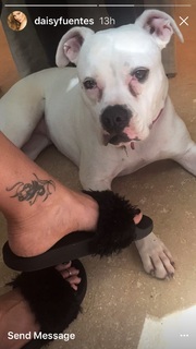 Daisy Fuentes feet photo thumbnail