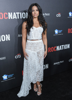 Demi Lovato feet photo thumbnail