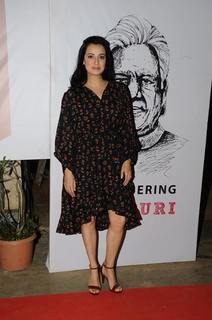 Dia Mirza feet photo thumbnail