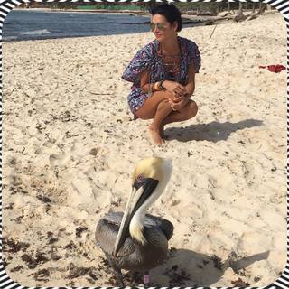 Angie Harmon feet photo thumbnail