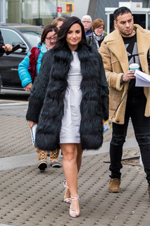Demi Lovato feet photo thumbnail