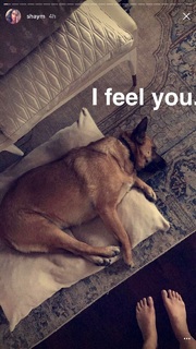 Shay Mitchell feet photo thumbnail