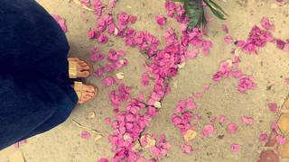 Kriti Kharbanda feet photo thumbnail