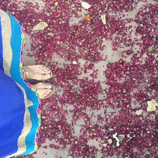 Kriti Kharbanda feet photo thumbnail