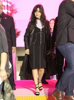 Camila Cabello feet photo thumbnail