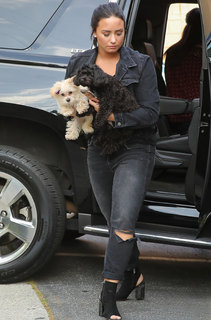 Demi Lovato feet photo thumbnail