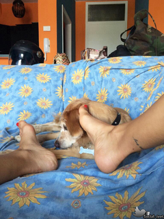 Melita Toniolo feet photo thumbnail