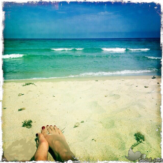 Melita Toniolo feet photo thumbnail