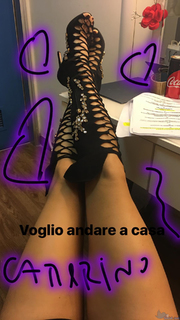 Elisabetta Gregoraci feet photo thumbnail