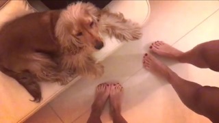 Kimberley Garner feet photo thumbnail