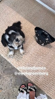 Jamie Chung feet photo thumbnail