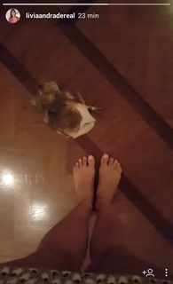 Lívia Andrade feet photo thumbnail