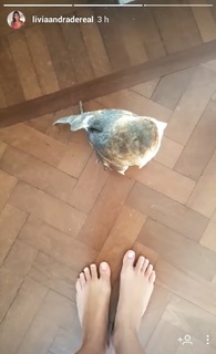 Lívia Andrade feet photo thumbnail
