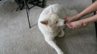 Amanda Cerny feet photo thumbnail