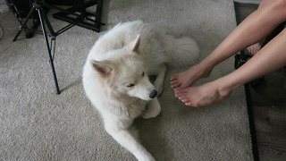 Amanda Cerny feet photo thumbnail
