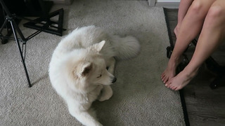 Amanda Cerny feet photo thumbnail