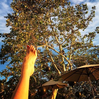 Cat Deeley feet photo thumbnail