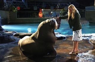 Drew Barrymore feet photo thumbnail