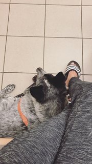 Adriene Mishler feet photo thumbnail