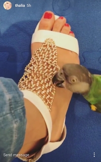 Thalía feet photo thumbnail