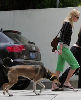 Kate Bosworth feet photo thumbnail
