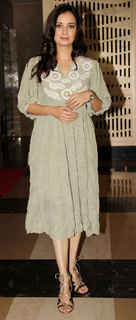 Dia Mirza feet photo thumbnail