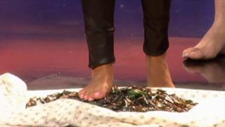 Sylvie Meis feet photo thumbnail